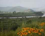 敦化天气预报7天