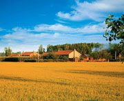 康平天气预报15天