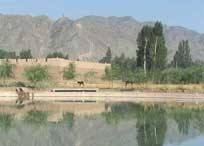 横山天气预报60天