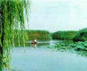 滨州天气预报60天