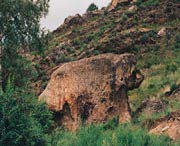 福海天气预报60天