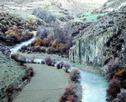 边坝天气预报15天