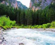 卓尼天气预报15天