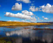 碌曲天气预报40天