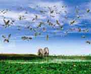 银川天气预报60天