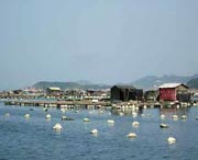 连江天气预报60天