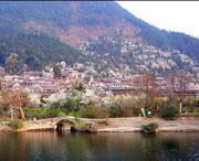 贵定天气预报60天