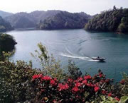 长顺天气预报7天