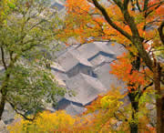 三穗天气预报60天