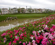 双流天气预报7天