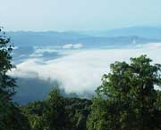 屏山天气预报40天