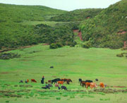 昭觉天气预报40天