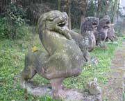 芦山天气预报40天