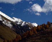 理县天气预报40天