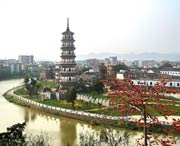 罗定天气预报30天