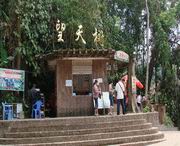 勐腊天气预报60天